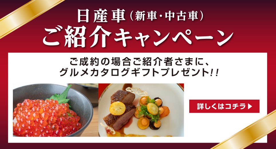 愛知日産自動車株式会社 愛知日産 新車ご紹介プレゼント 愛知日産自動車株式会社 愛知日産 新車ご紹介プレゼント