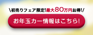 お年玉カーはこちら