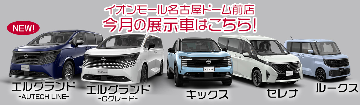 今月の試乗車 Newエルグランド/セレナ/ルークス/
