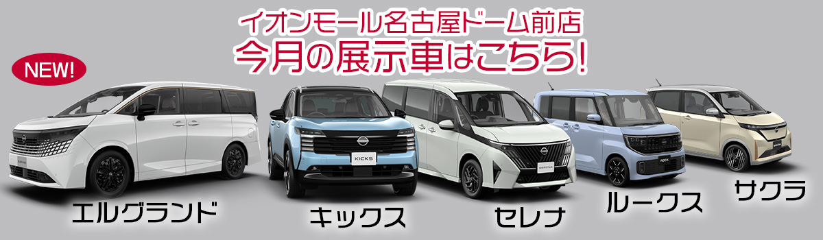 今月の試乗車 セレナ/エルグランド/エクストレイル ロッククリーク/ルークス/NEWキックス